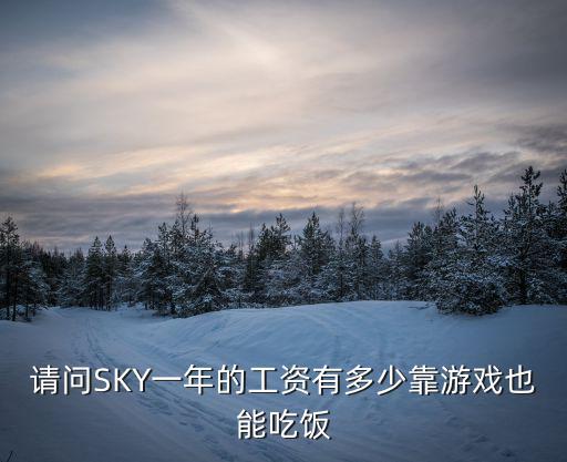 请问SKY一年的工资有多少靠游戏也能吃饭