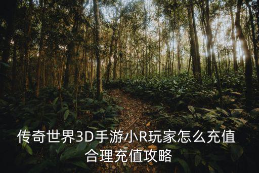 传奇世界3D手游小R玩家怎么充值 合理充值攻略