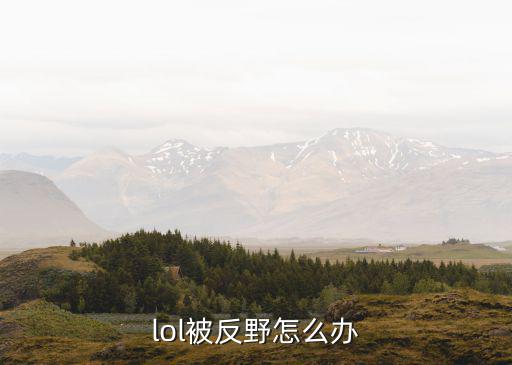 lol被反野怎么办