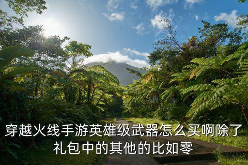 穿越火线手游英雄级武器怎么买啊除了礼包中的其他的比如零