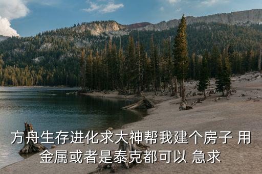 方舟生存进化求大神帮我建个房子 用金属或者是泰克都可以 急求