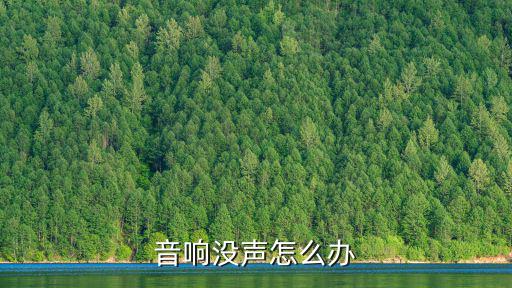 音响没声怎么办