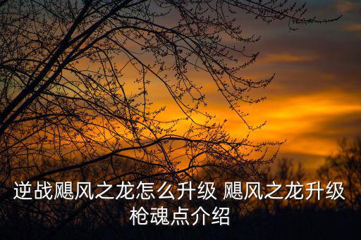 逆战飓风之龙怎么升级 飓风之龙升级枪魂点介绍