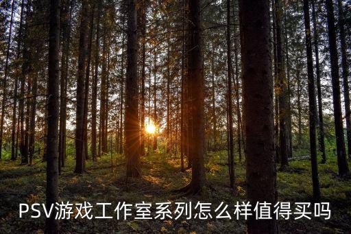 PSV游戏工作室系列怎么样值得买吗