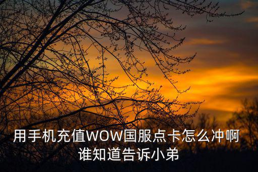 用手机充值WOW国服点卡怎么冲啊 谁知道告诉小弟