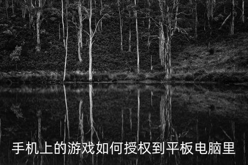英雄联盟手游怎么同步到平板，我想把手机里面的游戏传到平板电脑里怎么传啊