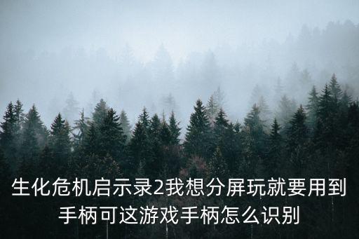 生化危机启示录2我想分屏玩就要用到手柄可这游戏手柄怎么识别