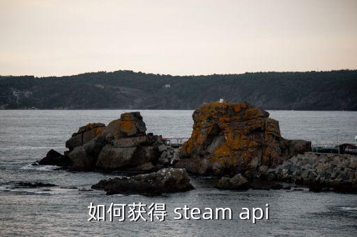 手游自走棋怎么领取steam，如何获得 steam api