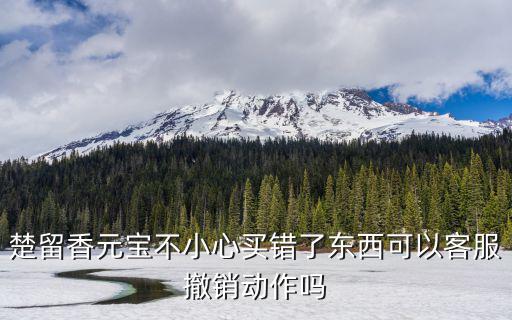 楚留香元宝不小心买错了东西可以客服撤销动作吗