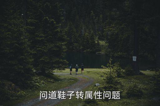 问道鞋子转属性问题