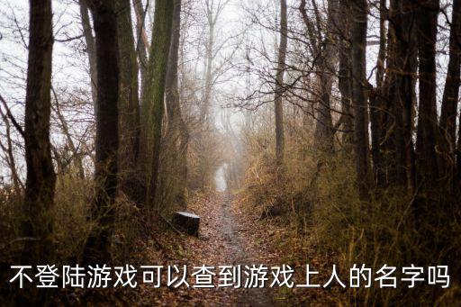 讯飞手游怎么查使用过的名字，查查我的游戏名字