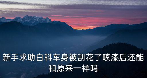 逃离塔科夫手游保险杠怎么得6个，逃离塔科夫进入游戏显示这个怎么搞