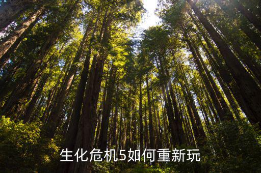 生化危机5如何重新玩
