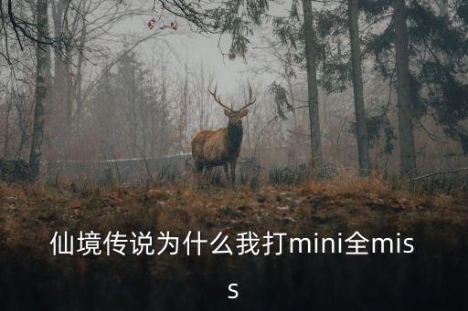 仙境传说为什么我打mini全miss