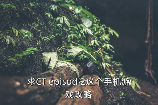 求CT episod 2这个手机游戏攻略