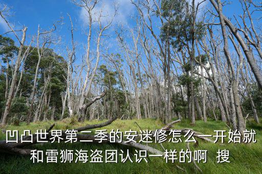 凹凸世界第二季的安迷修怎么一开始就和雷狮海盗团认识一样的啊 搜