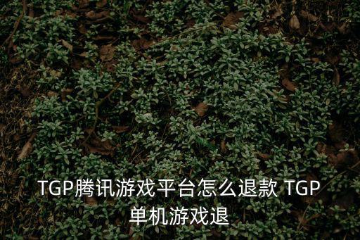 TGP腾讯游戏平台怎么退款 TGP单机游戏退