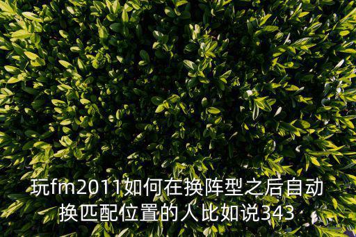 玩fm2011如何在换阵型之后自动换匹配位置的人比如说343