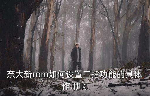 奈大新rom如何设置三指功能的具体作用啊