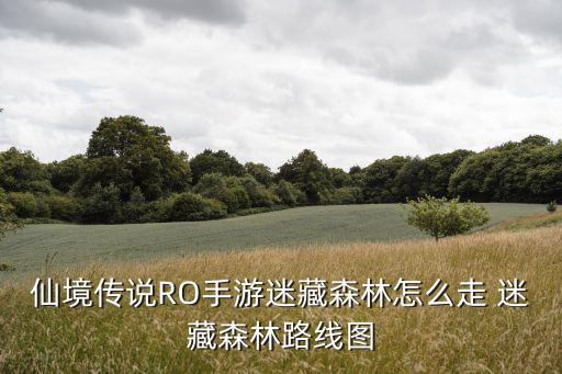 仙境传说RO手游迷藏森林怎么走 迷藏森林路线图
