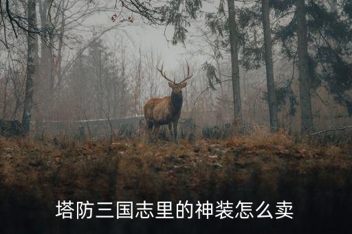 三国志手游版装备怎么卖，手游放开那三国替换下来的装备怎么卖那些神将的武魂是干什么用的