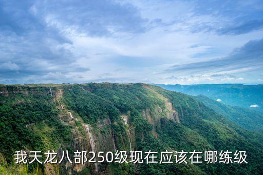 天龙手游修行250级怎么培养，天龙八部怎么修炼怎么把修炼提高高手们详细点我菜鸟