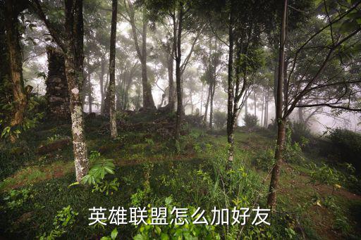 英雄联盟怎么加好友