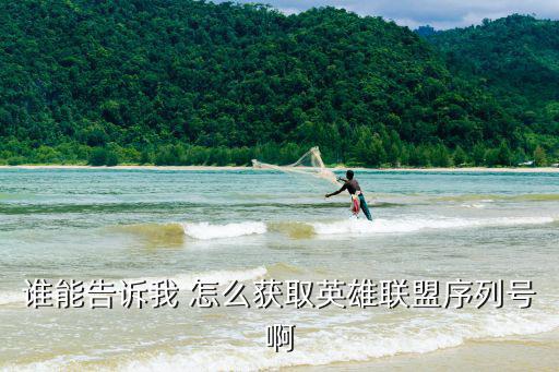 手游英雄联盟怎么获得版号，如何让自己做的游戏拿到版号