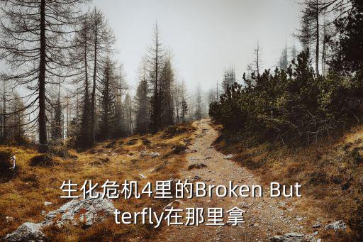 生化危机4里的Broken Butterfly在那里拿