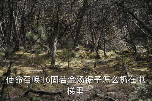 使命召唤16固若金汤锯子怎么扔在电梯里