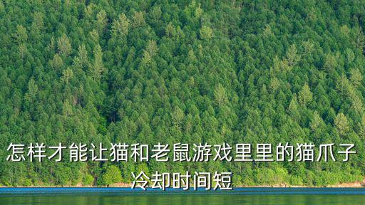 怎样才能让猫和老鼠游戏里里的猫爪子冷却时间短