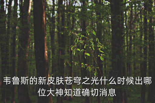 韦鲁斯的新皮肤苍穹之光什么时候出哪位大神知道确切消息