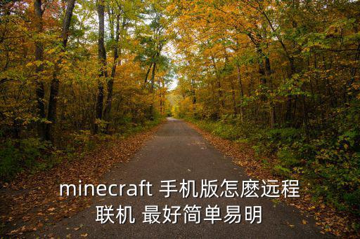 minecraft 手机版怎麽远程联机 最好简单易明