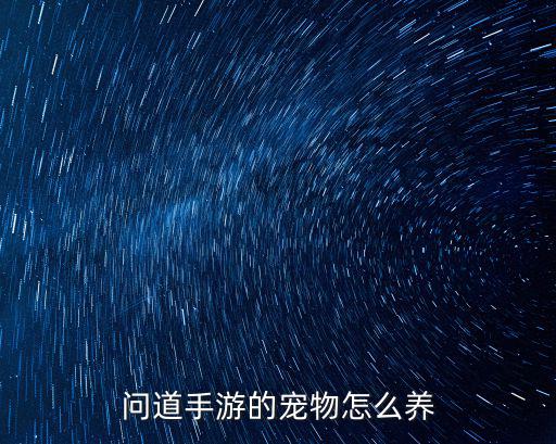 问道手游的宠物怎么养