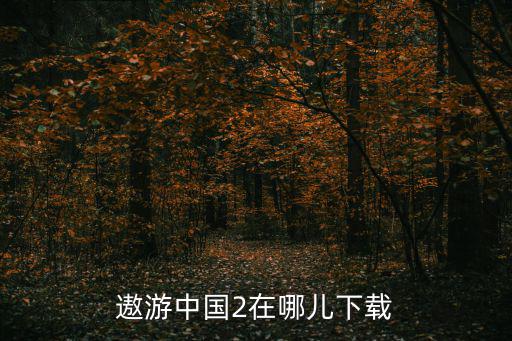 遨游中国2在哪儿下载