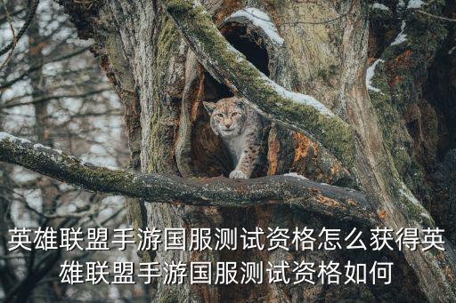 英雄联盟手游国服测试资格怎么获得英雄联盟手游国服测试资格如何