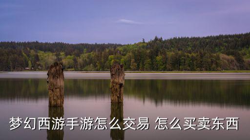 梦幻西游手游怎么交易 怎么买卖东西