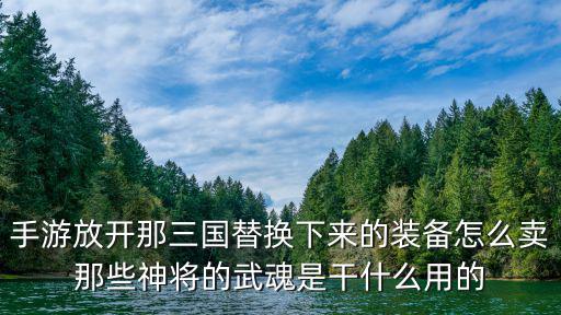 手游放开那三国替换下来的装备怎么卖那些神将的武魂是干什么用的