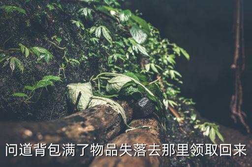 问道手游背包怎么找回，问道里 过 50J指导任务背包满了无法获得法池还能弄回来吗