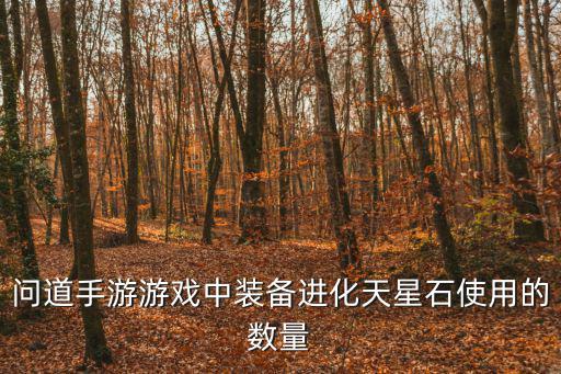问道手游游戏中装备进化天星石使用的数量