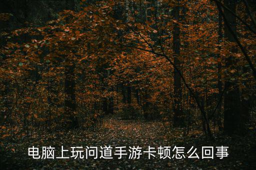 电脑上玩问道手游卡顿怎么回事