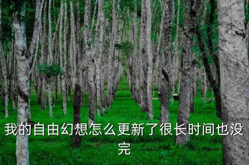 我的自由幻想怎么更新了很长时间也没完