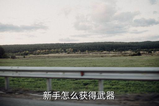 新手怎么获得武器