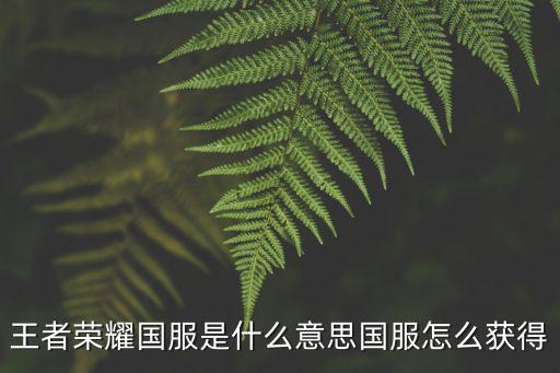 王者荣耀国服是什么意思国服怎么获得