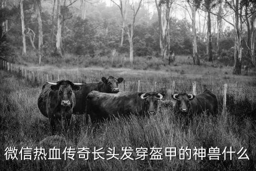 微信热血传奇长头发穿盔甲的神兽什么