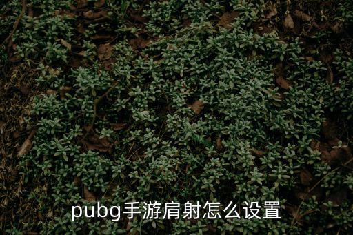 pubg手游团竞怎么换两把步枪，pubg手游肩射怎么设置