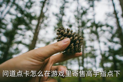 问道点卡怎么在游戏里寄售高手指点下