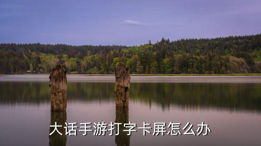 大话手游打字卡屏怎么办