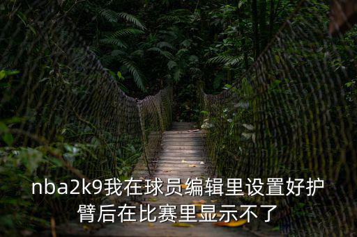 nba2k9我在球员编辑里设置好护臂后在比赛里显示不了