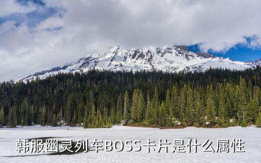 韩服幽灵列车BOSS卡片是什么属性